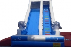Double dolphin fish Slider 7x4.5x6M