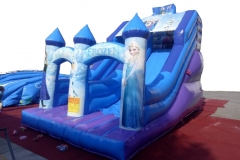 Frozen princess slider. 6x4x5M