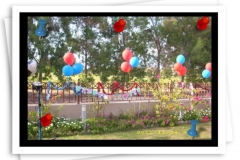 Balloon Decoration services