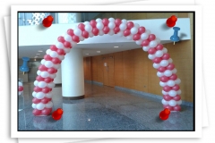 Professional Balloon Decoration services