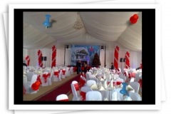 Professional Balloon and Decoration