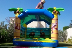 Bouncy Castle Rent