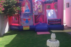 Bouncy Castle for Party