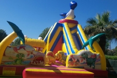 Bouncy Castles