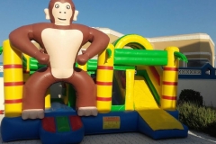 Bouncy for Kids on Rent
