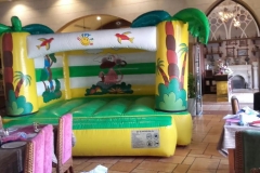 Castle Bouncy on Rent