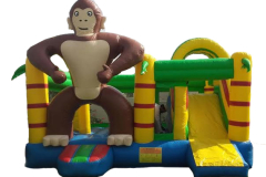 Big Monkey Standing combo 6x5x3.5M