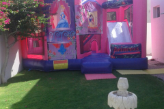 Bouncy-Castle-for-Party