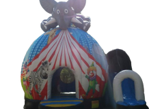 Elephant Combo 6x5x3.5M