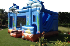 Fish Combo 6x5x3.5M