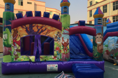 IMG-20180606-WA0068