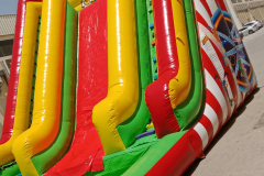 Double clown circus water slide