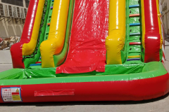 Double clown circus water slide
