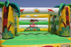 Jungle Bouncy 4x4M
