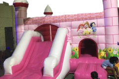 Pink Princess 5x5x2M