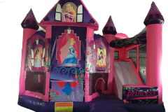 Fairy Princess 6x5x3.5M