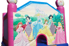 Princess Bouncy 4x4M
