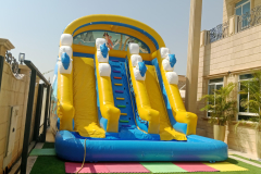 dolphins with pirates water slide