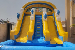 dolphins with pirates water slide
