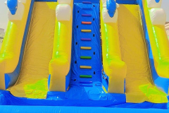 dolphins with pirates water slide