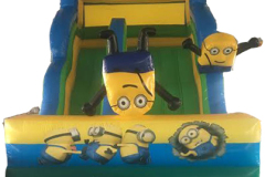 Minion Slider 6x4x5M