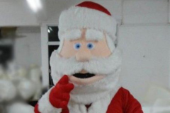 Santa Claus Mascot