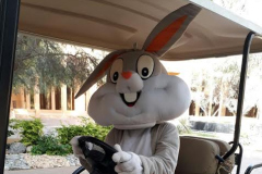 Rabbit Mascot