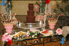 Chocolate Fountain