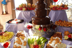 Chocolate Fountain Party