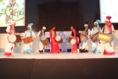 dhol4