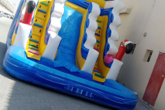 IMG-20250509-WA0018