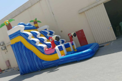IMG-20250509-WA0019