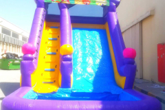 WhatsApp-Image-2025-05-09-at-17.55.00_541b47dd