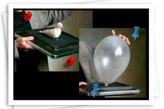 Professional Magician