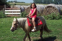 Pony Ride For Kids