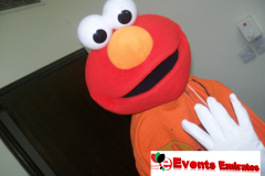 Puppet show