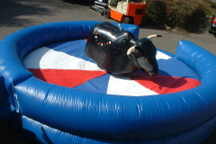 33-Rodeo-bull.